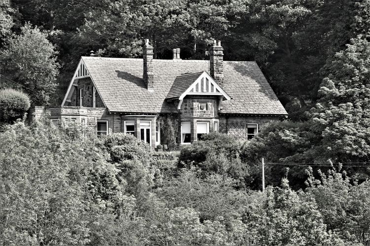 cottage-1.jpg